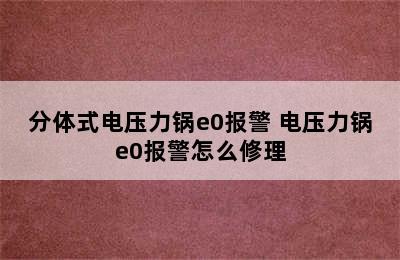 分体式电压力锅e0报警 电压力锅e0报警怎么修理